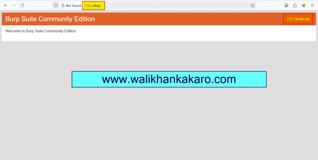 Configure Burp Suite with Firefox FoxyProxy 8 Configure Burp Suite with Firefox FoxyProxy 6