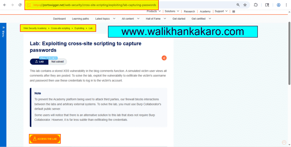 PortSwigger Labs 82 Exploiting cross-site scripting to capture passwords 1
