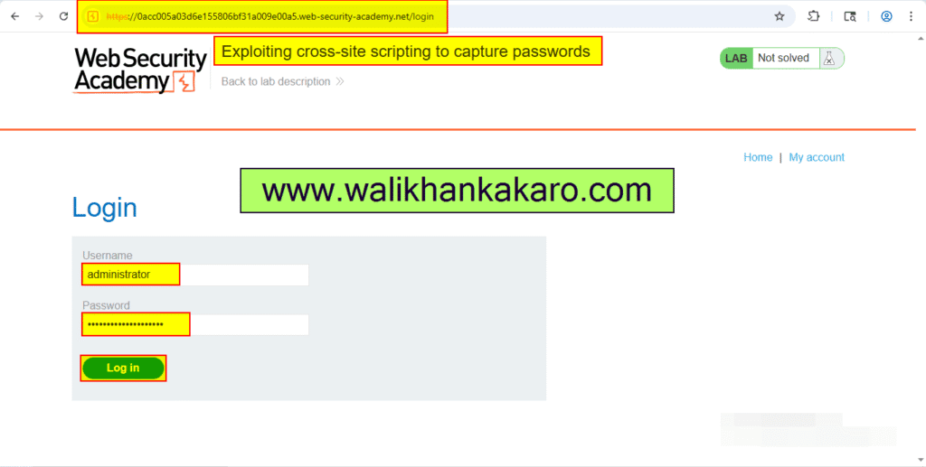 PortSwigger Labs 88 Exploiting cross-site scripting to capture passwords 7