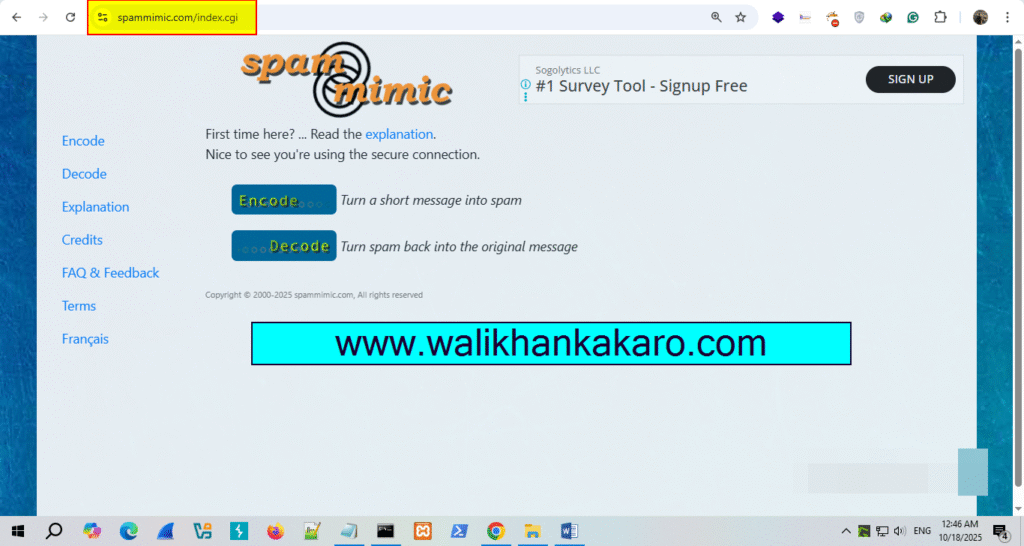 steganography website 1