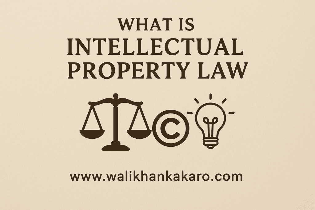 What is Intellectual Property Law