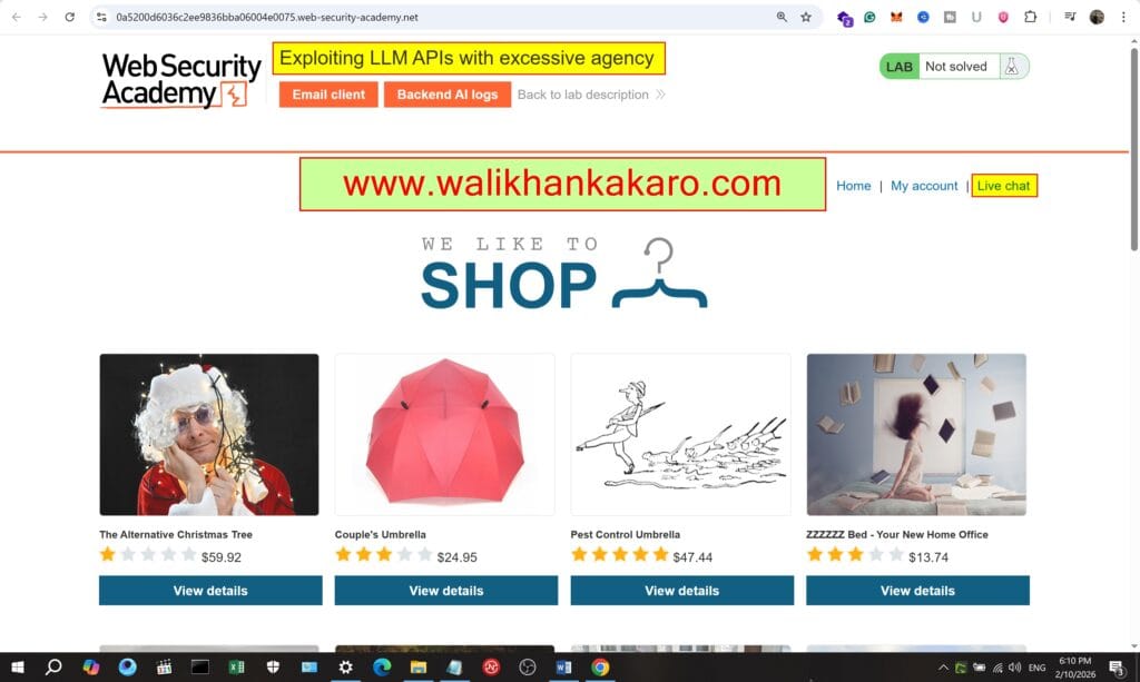 Lab Exploiting LLM APIs with excessive agency 2